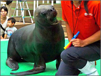 サンシャイン水族館の写真