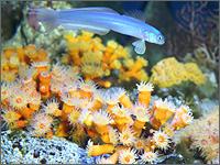 新江ノ島水族館の写真