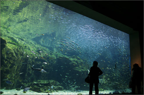 海きらら 九十九島水族館の写真