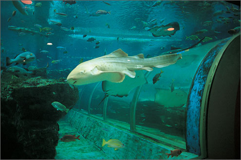 浅虫水族館の写真