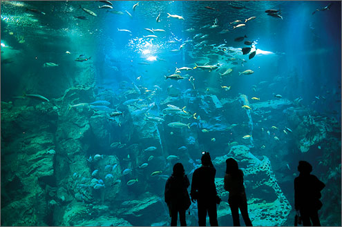 男鹿水族館GAOの写真