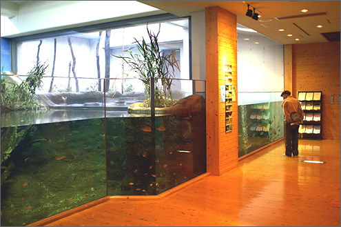 島根県立宍道湖自然館ゴビウスの写真