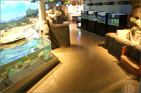 群馬県水産学習館の写真