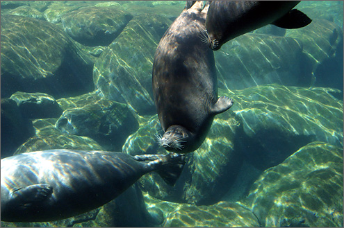 箱根園水族館の写真