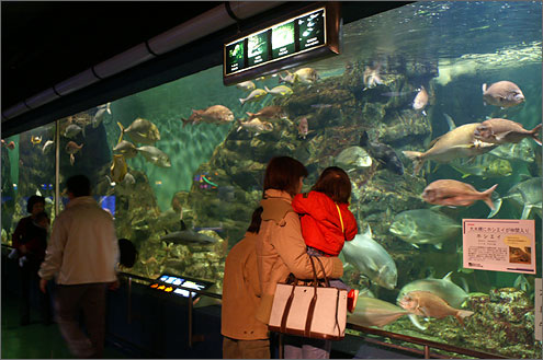 碧南海浜水族館の写真