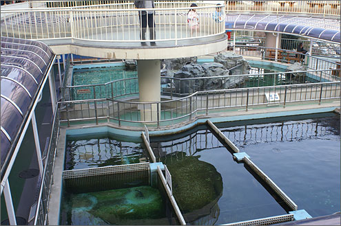 姫路市立水族館の写真