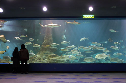 和歌山県立自然博物館の写真