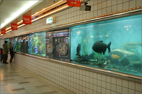 かわいい水族館の写真