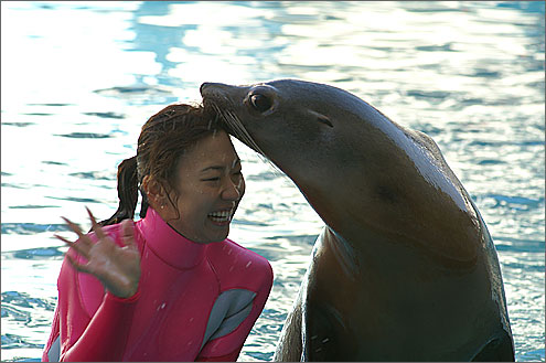 伊豆・三津シーパラダイスの写真