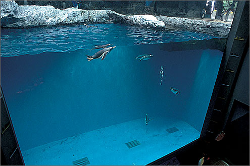 長崎ペンギン水族館の写真