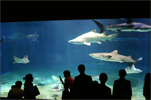 アクアワールド大洗水族館の写真