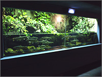 さいたま水族館の写真