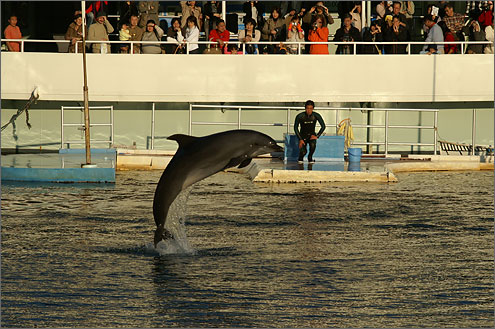 下田海中水族館の写真