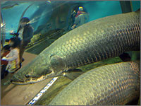 神戸市立須磨海浜水族園の写真