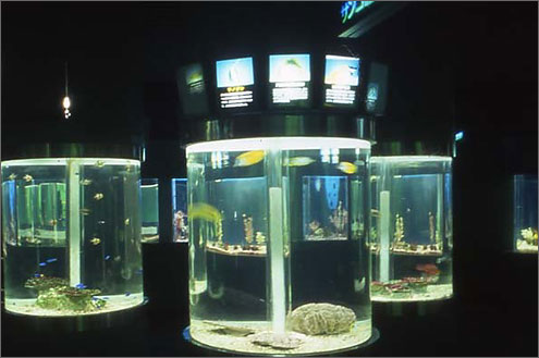 サンピアザ水族館の写真