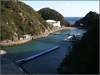 太地町立くじらの博物館の写真