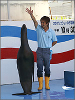 竹島水族館の写真