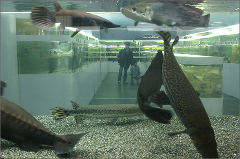 東京タワー水族館の写真